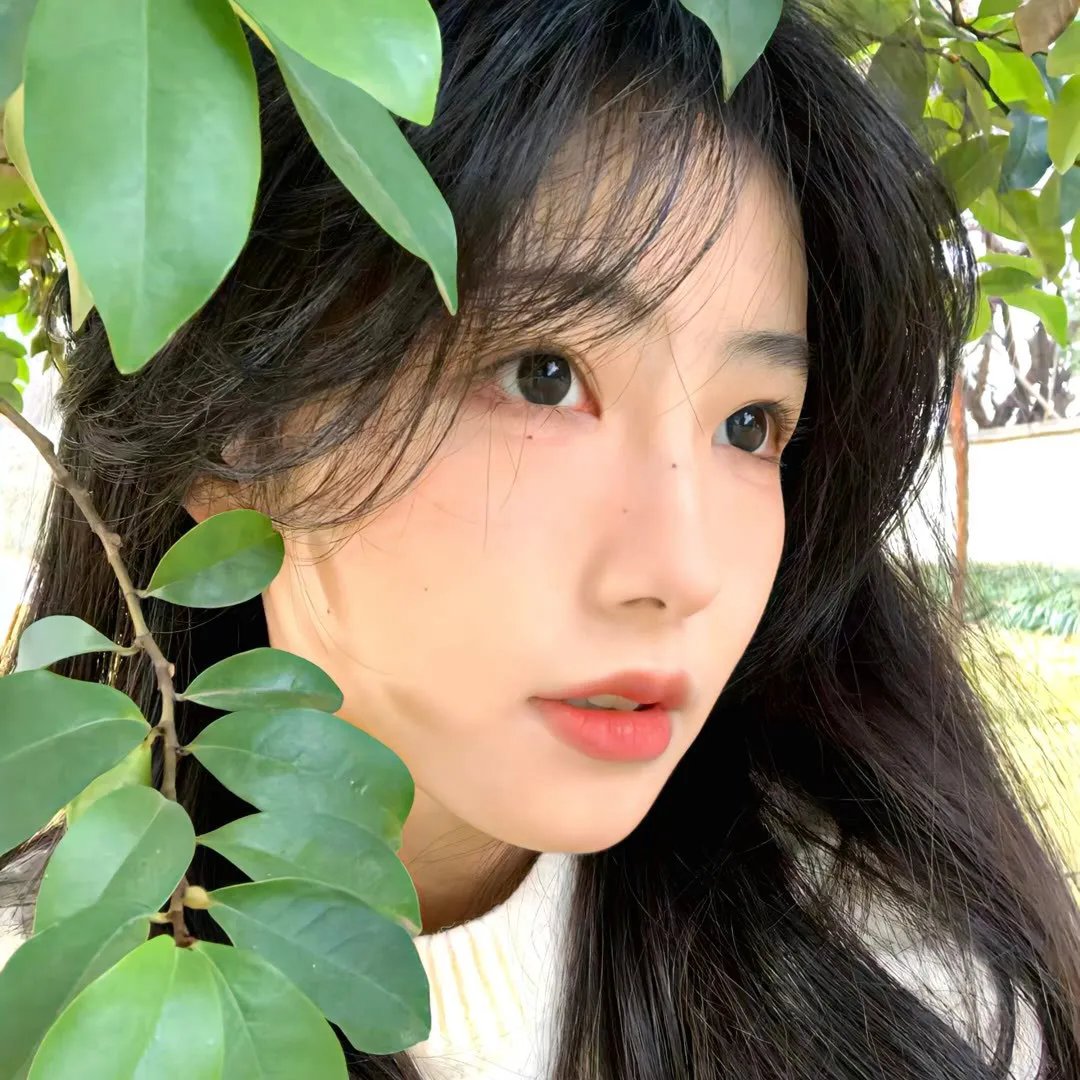 冰雪小尖兵